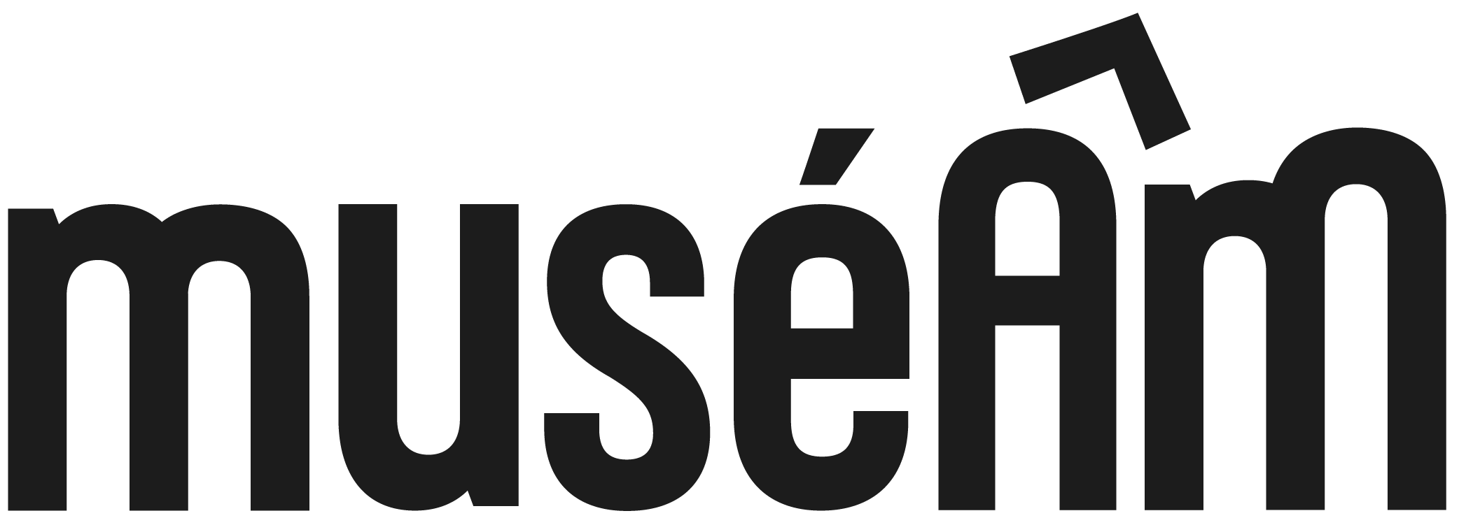 Visioguide